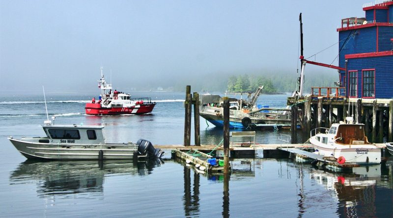 boats, wharf, boat yard-5813000.jpg