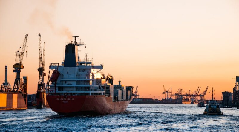 Stunning sunset view of cargo ships and cranes at the Port of Hamburg, epitomizing global trade and logistics.