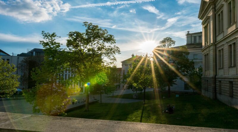 hall, halle germany, university, saxony-anhalt, germany, old building, the central university campus, nature, university place, martin luther university of, city square, city, architecture, sun, summer, heaven, clouds