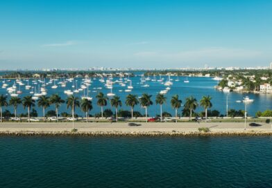 A picturesque Miami bay scene featuring sailboats, palm trees, and clear skies.