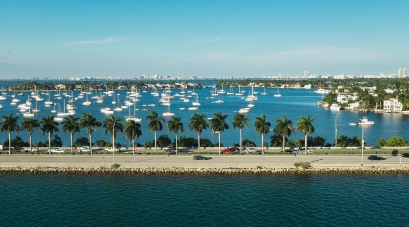 A picturesque Miami bay scene featuring sailboats, palm trees, and clear skies.
